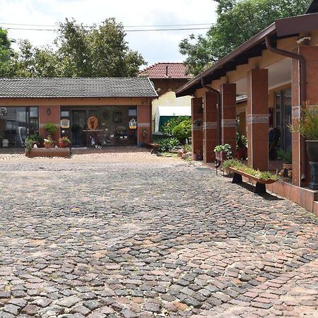 African Elephant Guesthouse Germiston Dış mekan fotoğraf